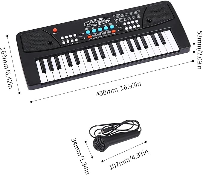 Kids piano with Mic